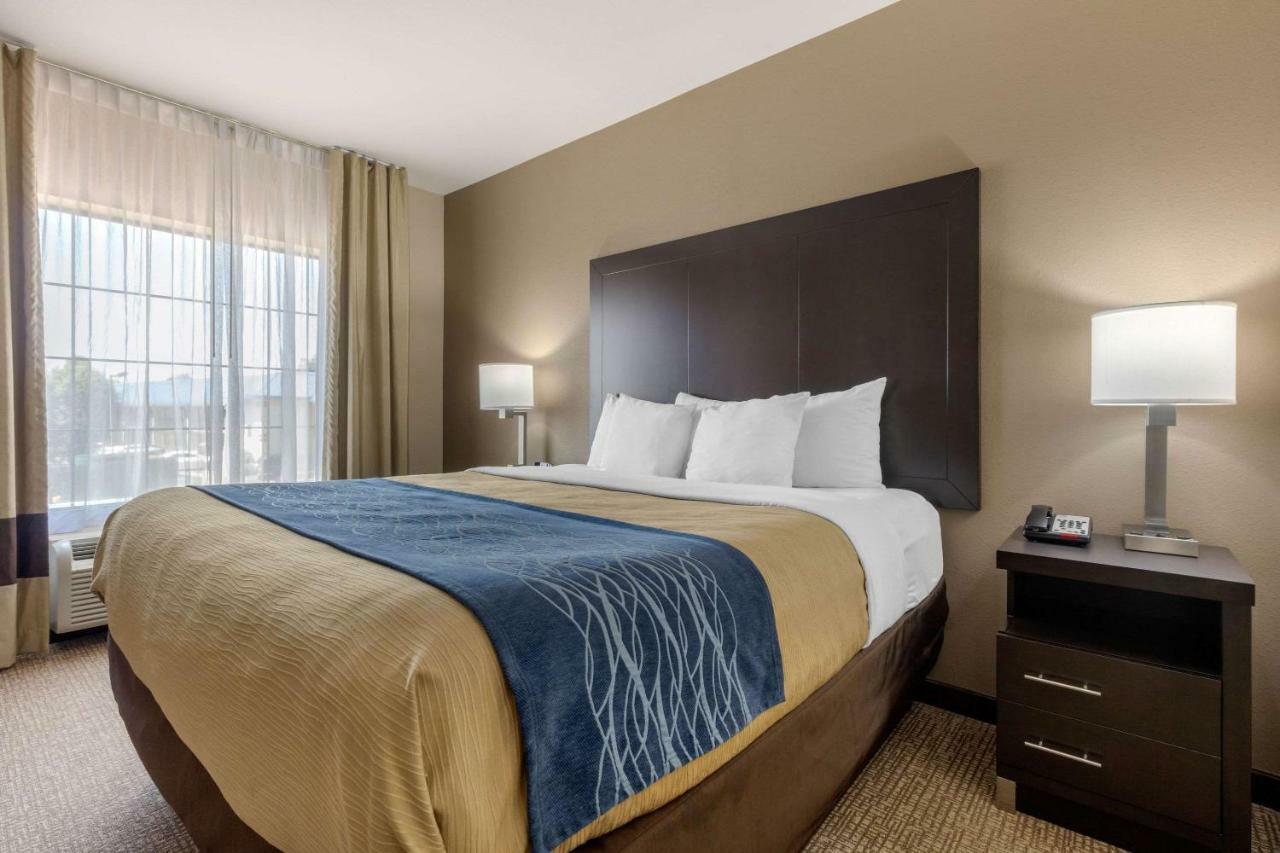 Comfort Inn & Suites North Little Rock Mccain Mall Kültér fotó